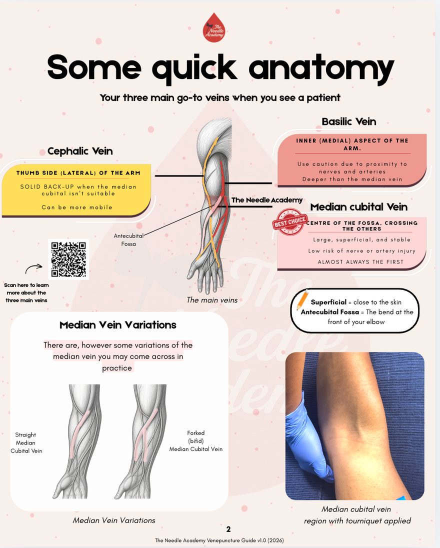 A page from The Needle Academy Venepuncture Guide